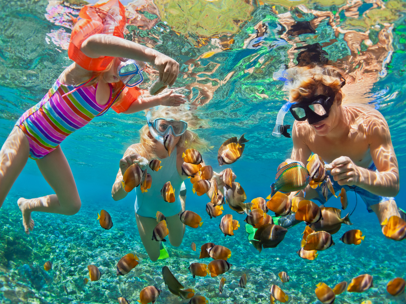 Family snorkeling and admiring the marine life